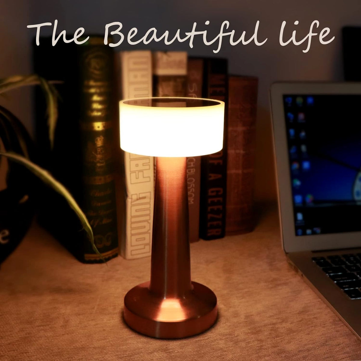 Detail of the aluminum body and intuitive touch control panel of the lamp.