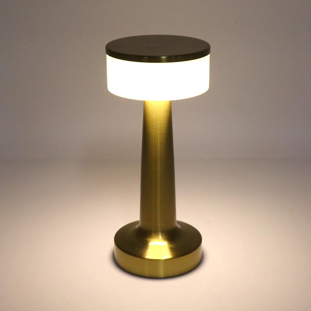 A versatile portable LED lamp used as ambient lighting in a stylish living area.